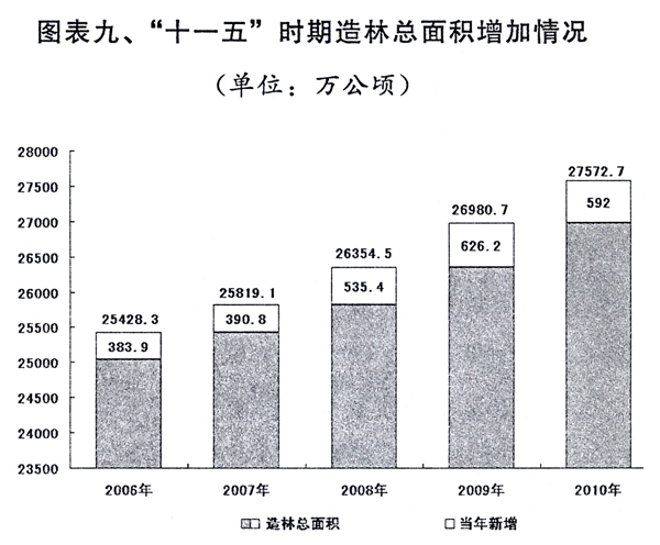 最准一肖一码一孑一特一中,全面计划执行_R版24.60