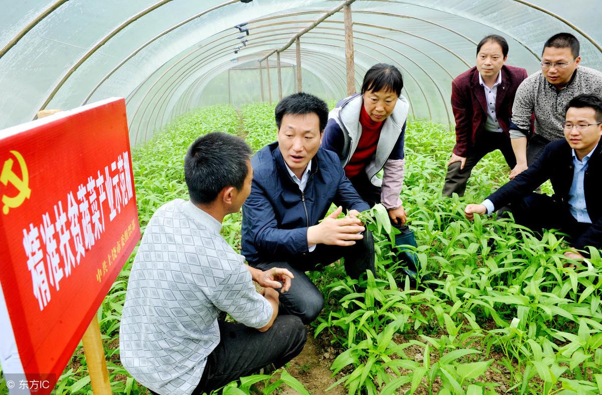 德安县特殊教育事业单位最新新闻动态揭秘