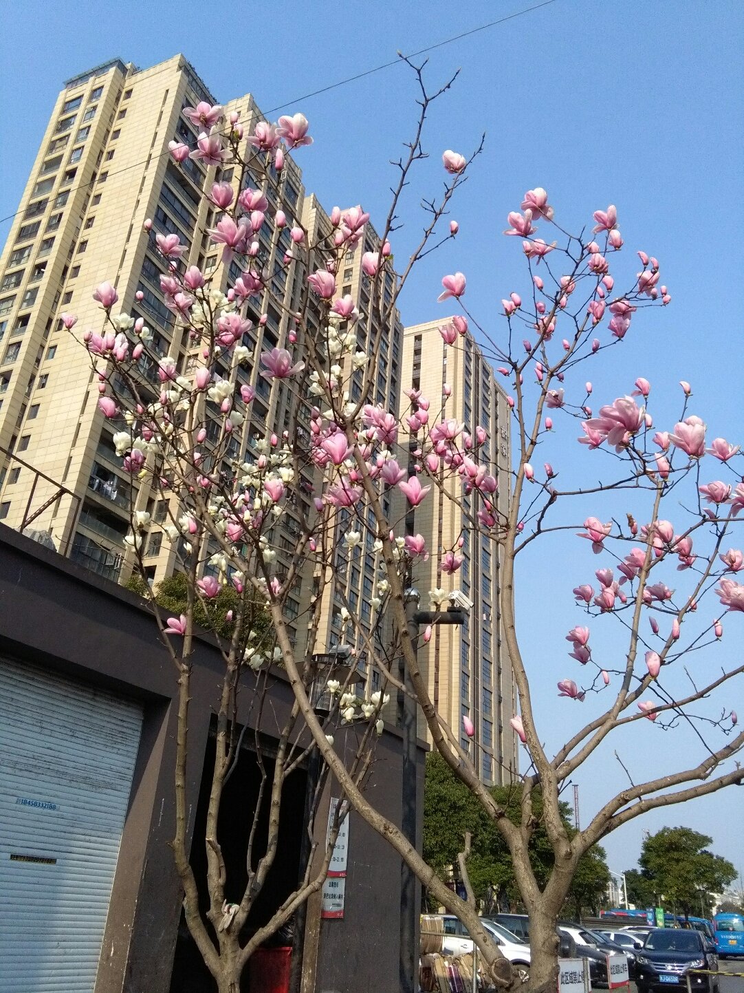 火花街道最新天气预报通知