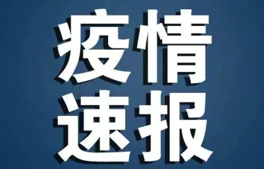 最新新型肺炎通报更新，深度解析疫情最新动态